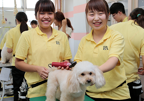 動物の専門学校はタイケン学園 動物看護士 トリマー ドッグトレーナーを養成する東京の日本ペット アニマル専門学校
