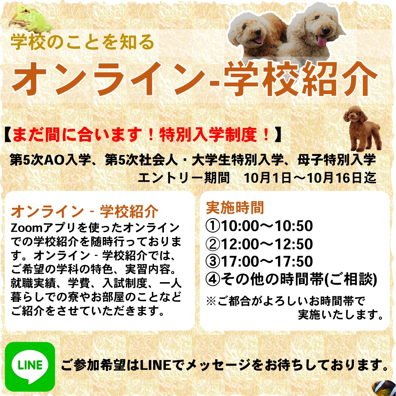 オンライン 学校紹介 のお知らせ 動物看護士 トリマー ドッグトレーナーを養成する東京の日本ペット アニマル専門学校